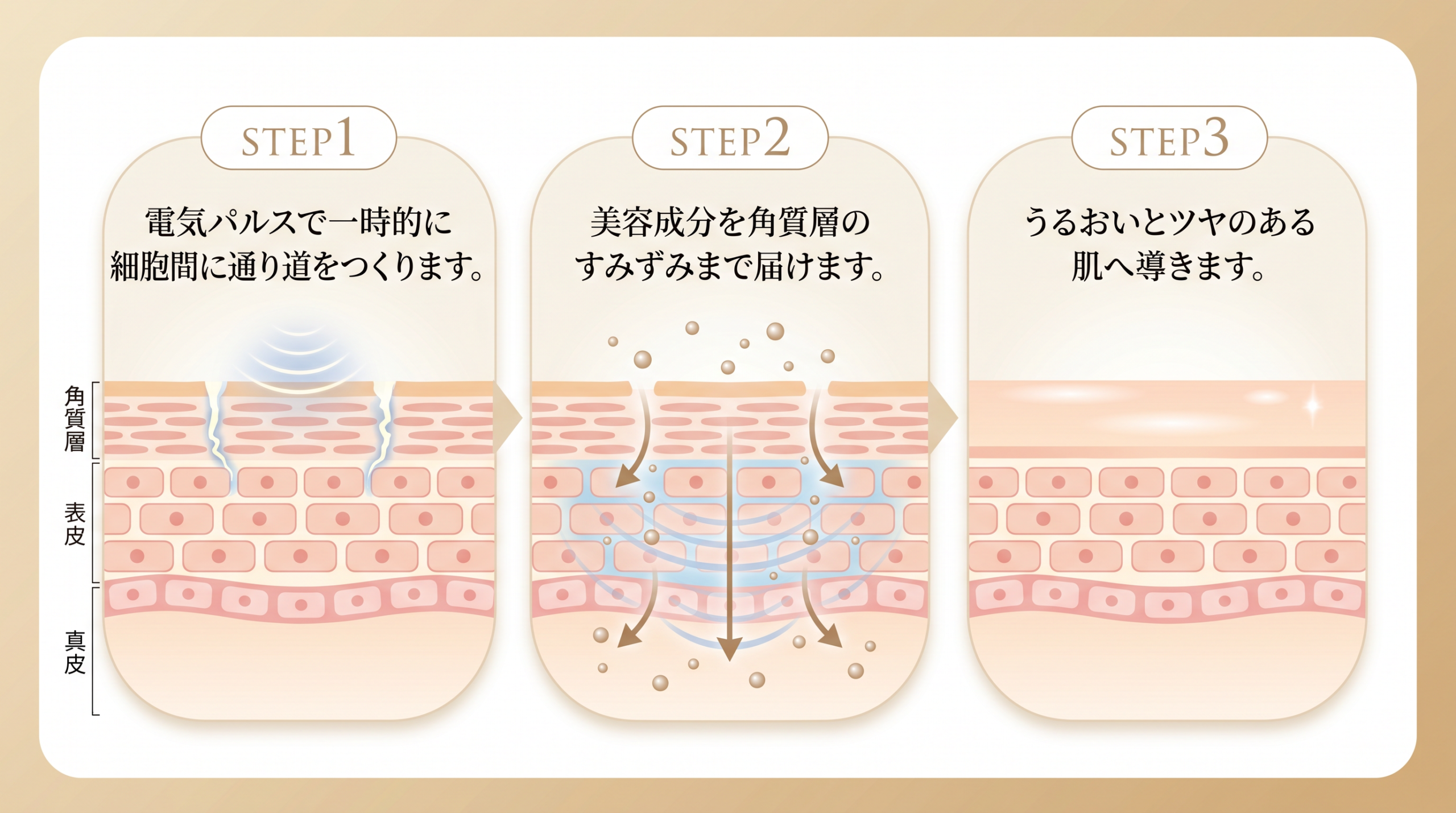 エレクトロポレーションの図解