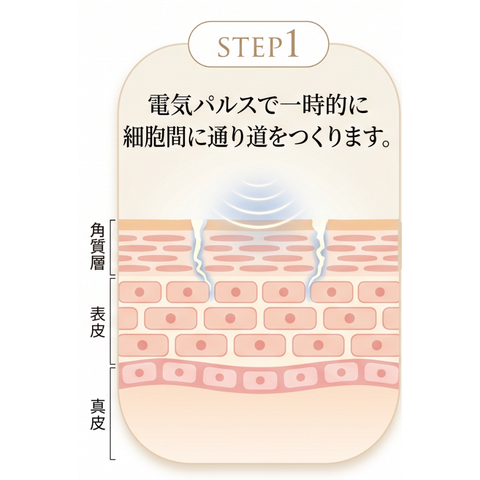 エレクトロポレーションの図解1