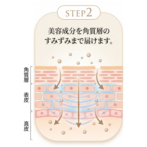 エレクトロポレーションの図解2