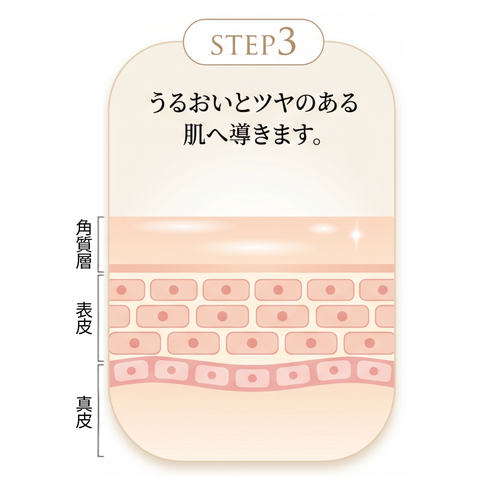 エレクトロポレーションの図解3